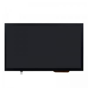 RG101BAH-09CP 10.1 inch 1024*600 TFT LCD Module With Capacitive Touch Screen