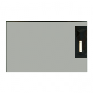 Rg101b40-235-0101_32LEDs 10.1-Inch LCD Panel 1200X1920 350nit 40pin Mipi Interface