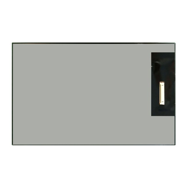 Rg101kbt-07 10.1inch IPS LCD 800*1280 250nit 39pin Mipi Interface