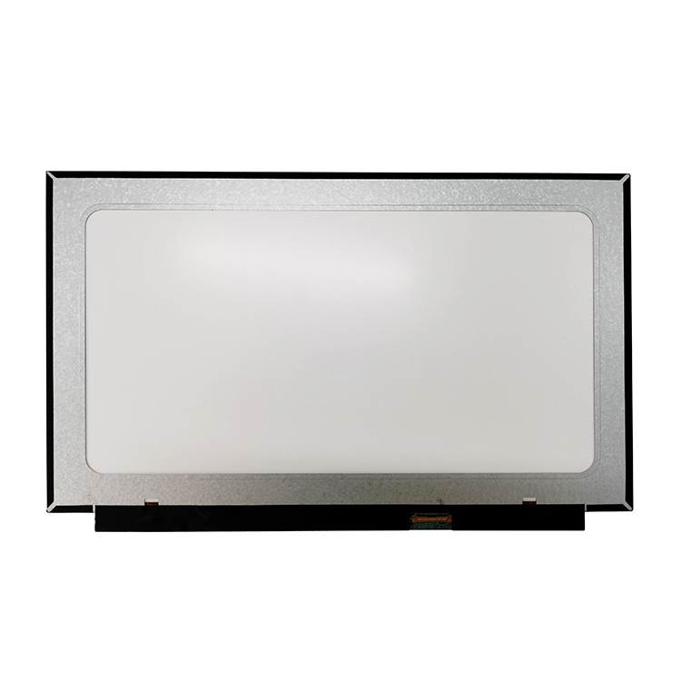 Rg133X56-111-0201 13.3inch IPS LCD Panel 1920*1080 220nits 30pin Edp Interface
