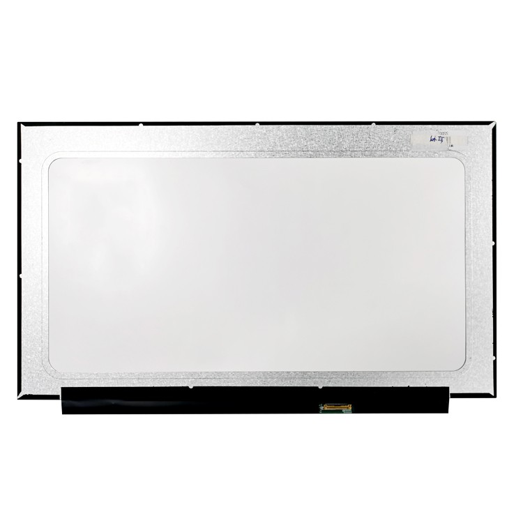 Rg156X40-137-0503 15.6inch IPS LCD Panel 1920*1080 220nits 30pin Edp Interface