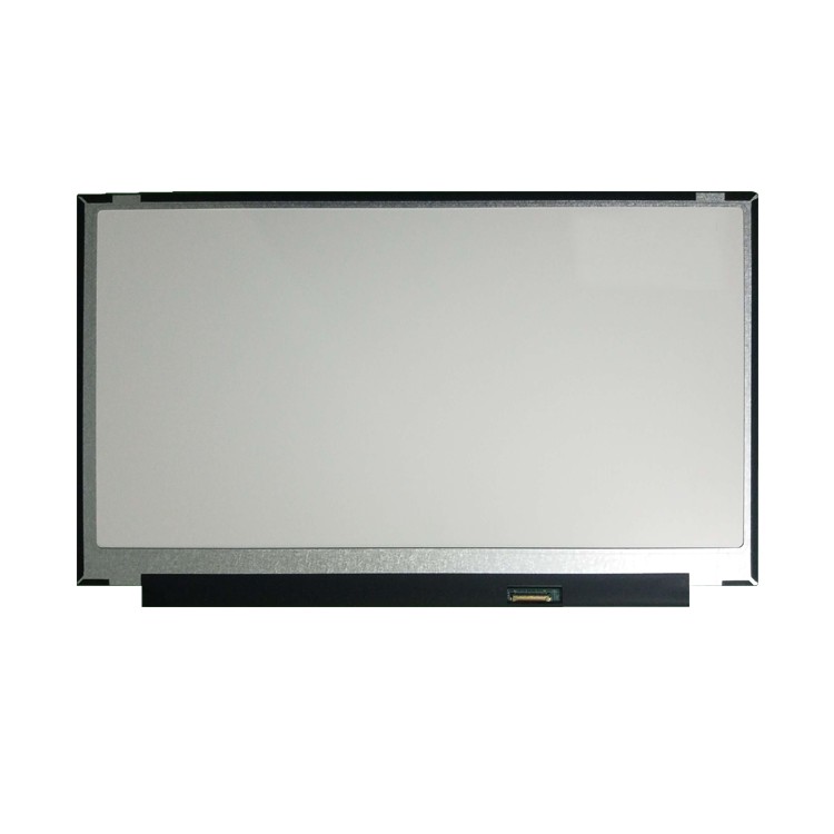 Rg156X40-256-0201 15.6inch IPS LCD Panel 1920*1080 220nits 30pin Edp Interface