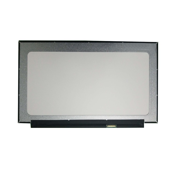 Rg156X40-262-0201 15.6inch IPS LCD Panel 1920*1080 220nits 30pin Edp Interface